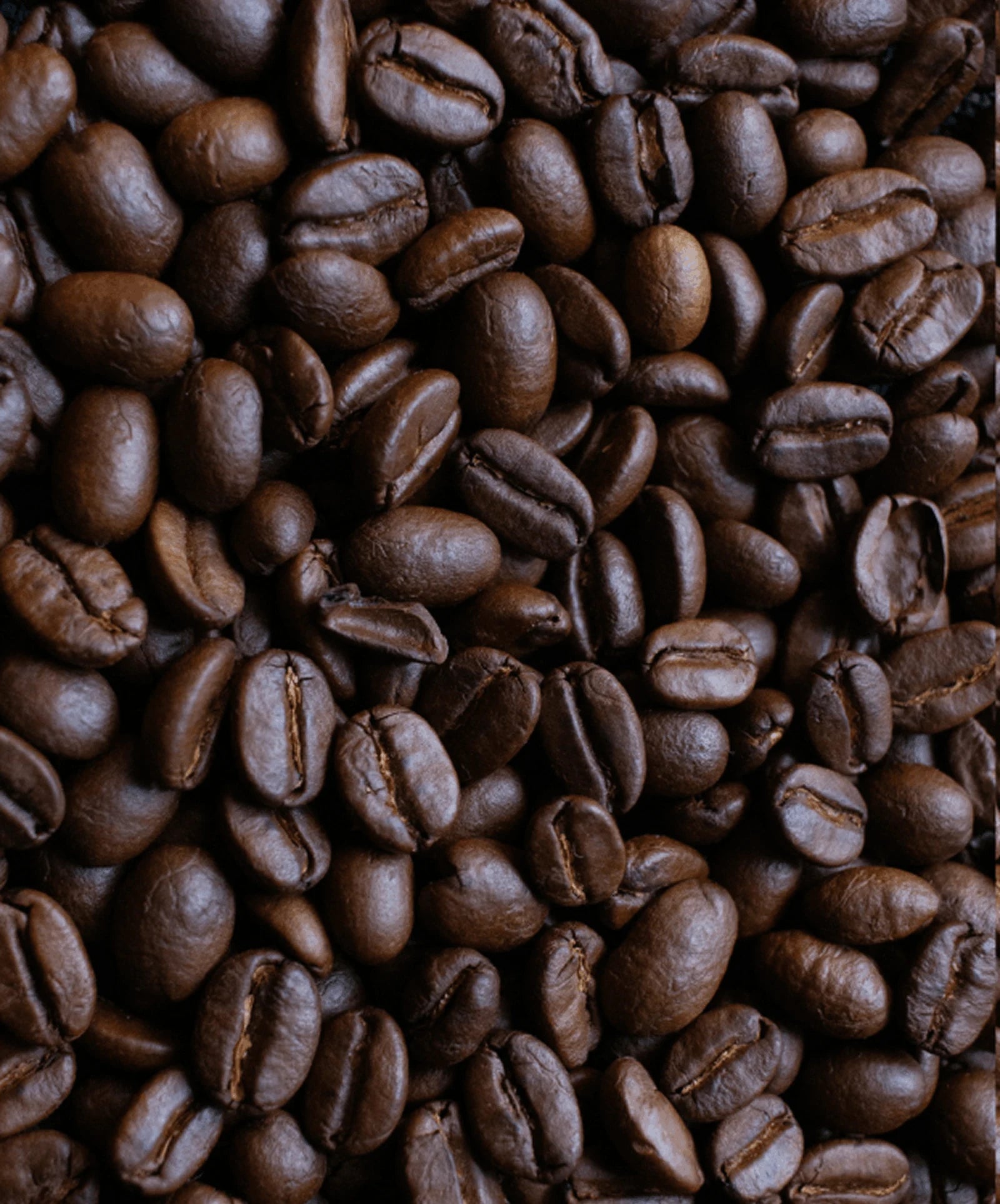 Robusta-Kaffee