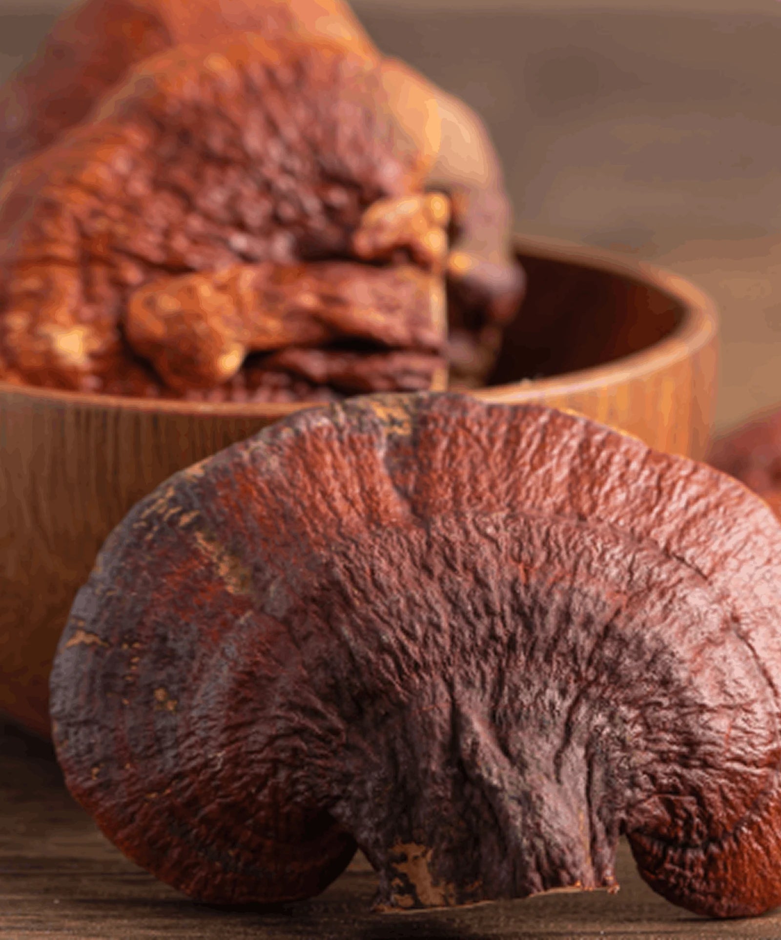 Reishi